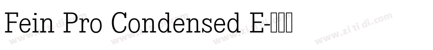 Fein Pro Condensed E字体转换
